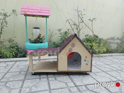 İt və pişiklər üçün yuva — Bakı