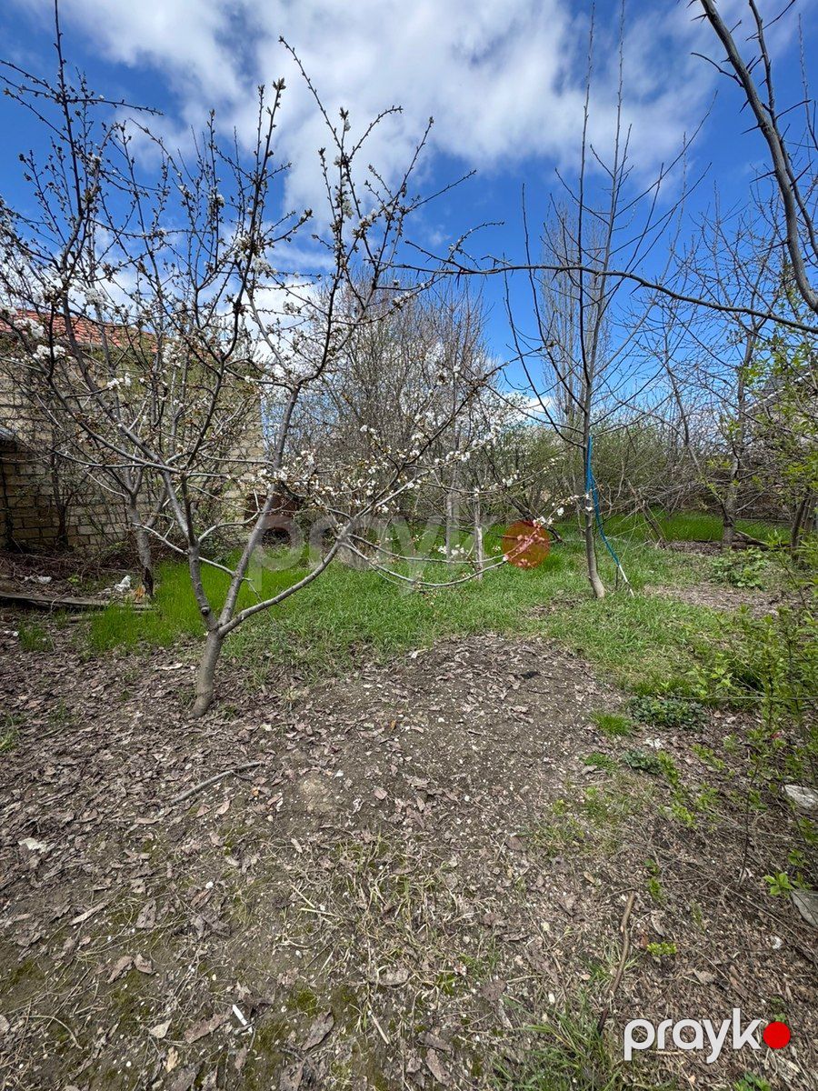 3 sot torpaq sahəsi, Qusar r — Torpaq, Qusar (6)