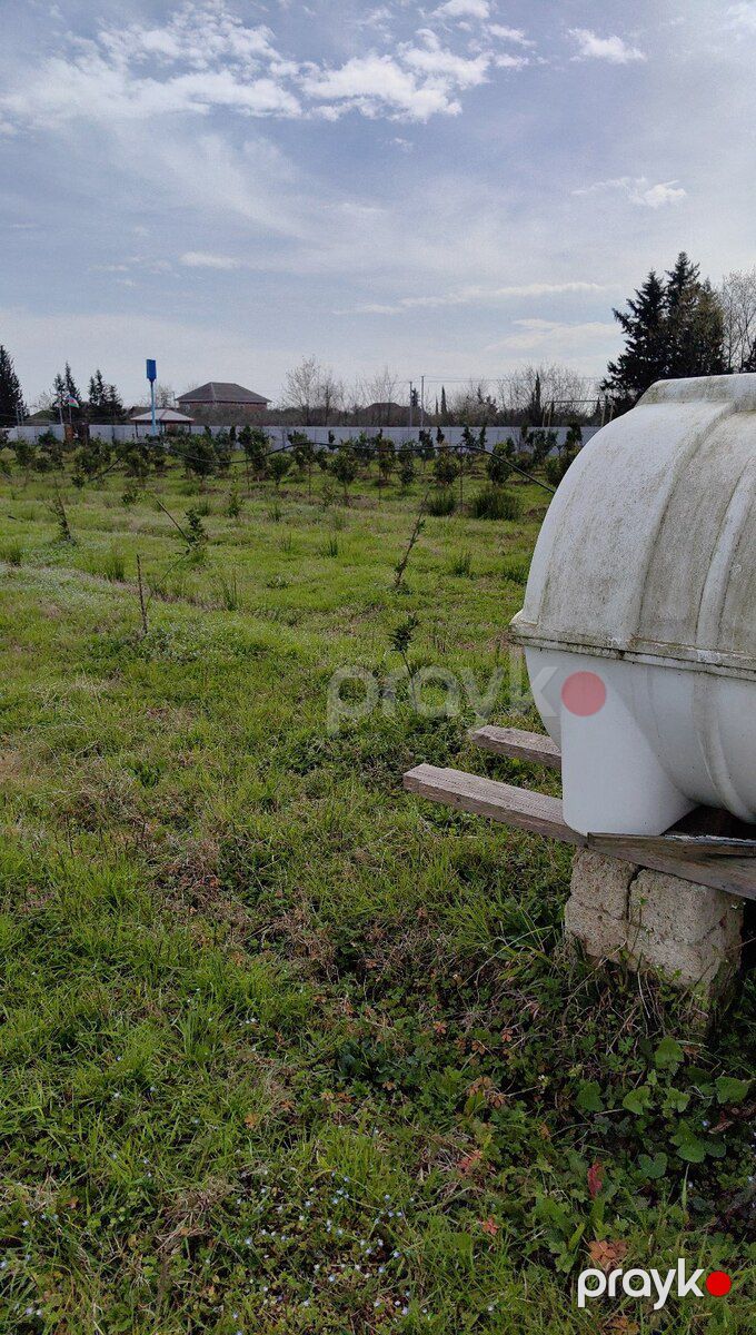 20 sot torpaq sahəsi, Astara r — Torpaq, Astara (2)
