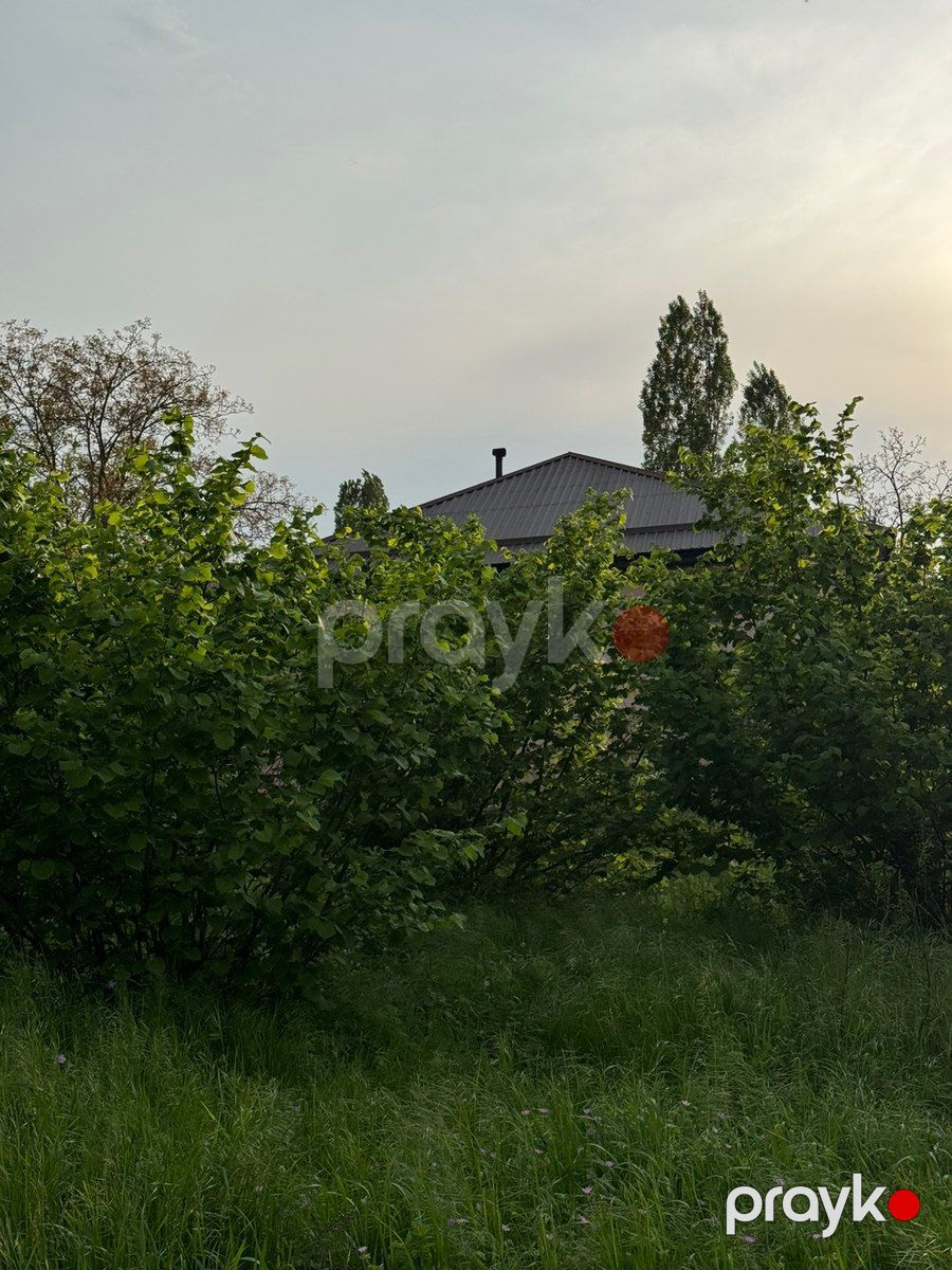 20 sot torpaq sahəsi, Qusar r — Torpaq, Qusar (6)