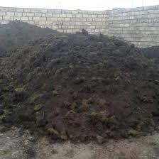 Qara torpaq və peyin — Dacha və bağ, Bakı (7)