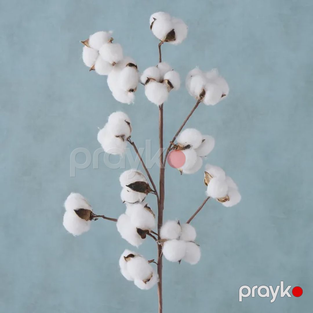 İnteryer üçün bəzək Boltze Cotton, 68 sm — Mallar, Bakı (2)