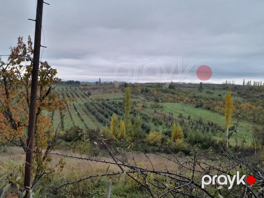 7 sot, Tikinti, Mülkiyyətçi, Kupça (Çıxarış) — Torpaq, Quba (3)