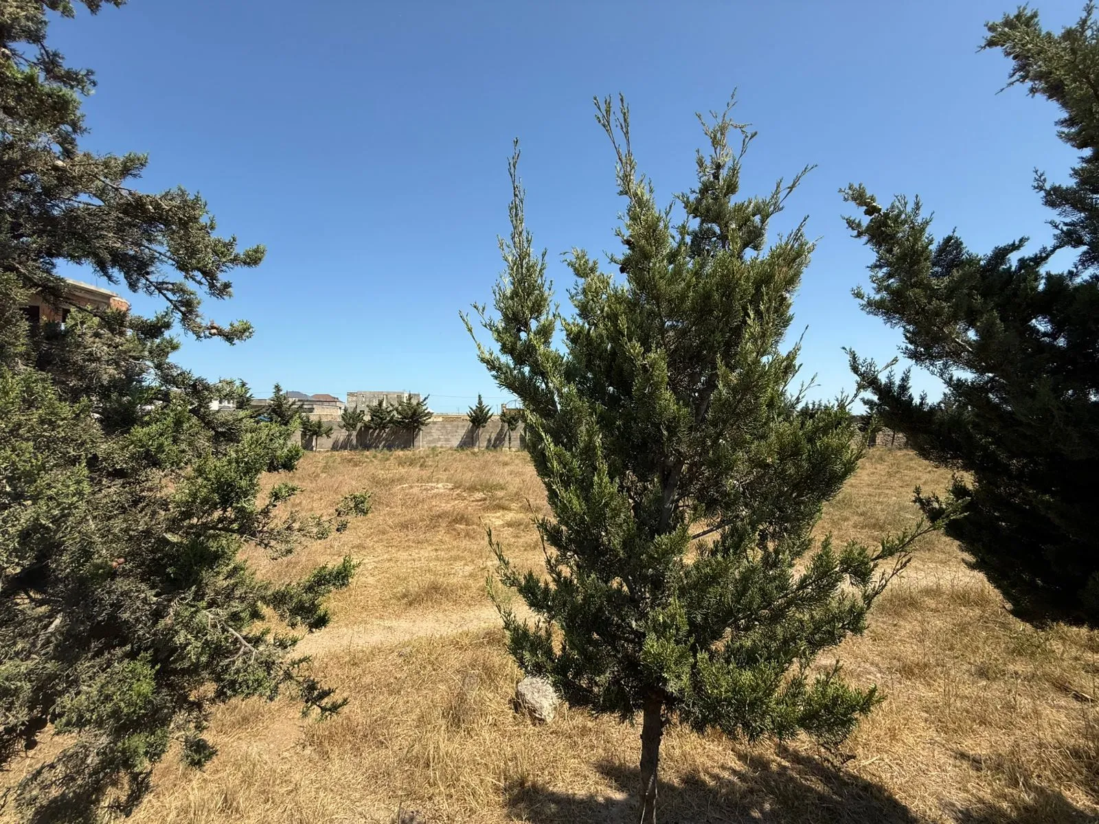 Şüvəlan, Torpaq satılır - 27.5 sot — Torpaq, Bakı (5)