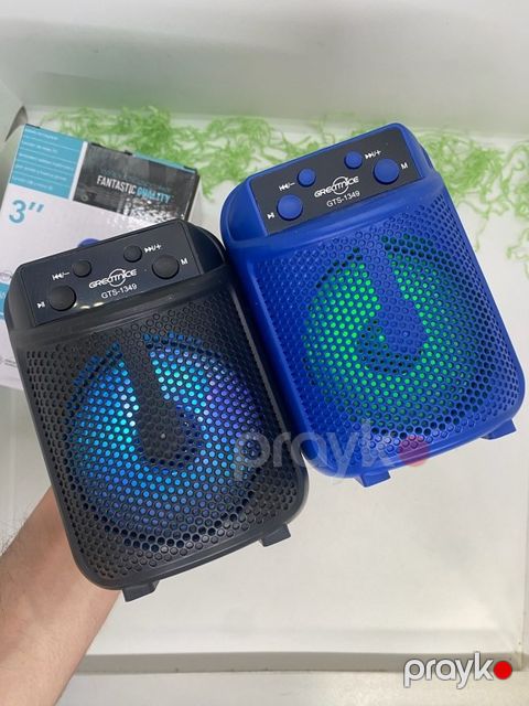 Greatnice GTS-1349 Mini dinamik — Bakı