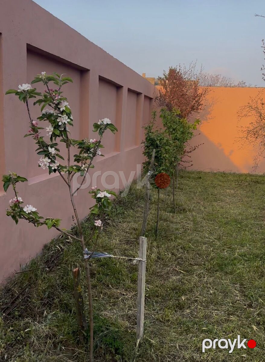 Satılır 7 otaqlı həyət evi/bağ evi 250 m² — Ev, villa, Bakı (12)