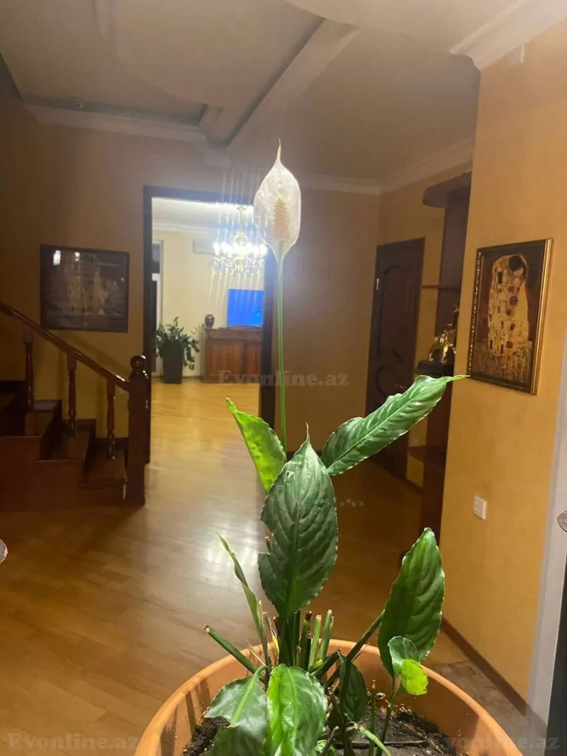 Satılır 5 otaqlı Mənzil Yeni tikili 220 m² Bakı, Yasamal r., Nizami m — Mənzil, Bakı (7)