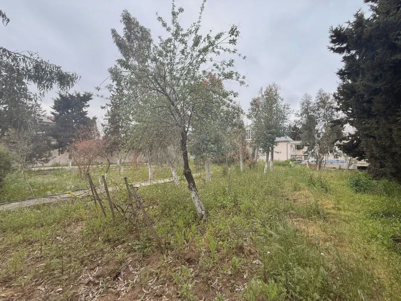 Sotiladi: участок, 12 sotix — Torpaq, Bakı (4)