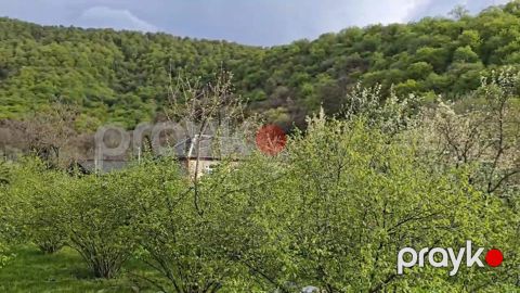3.8 sot torpaq sahəsi, Zaqatala r — Zaqatala