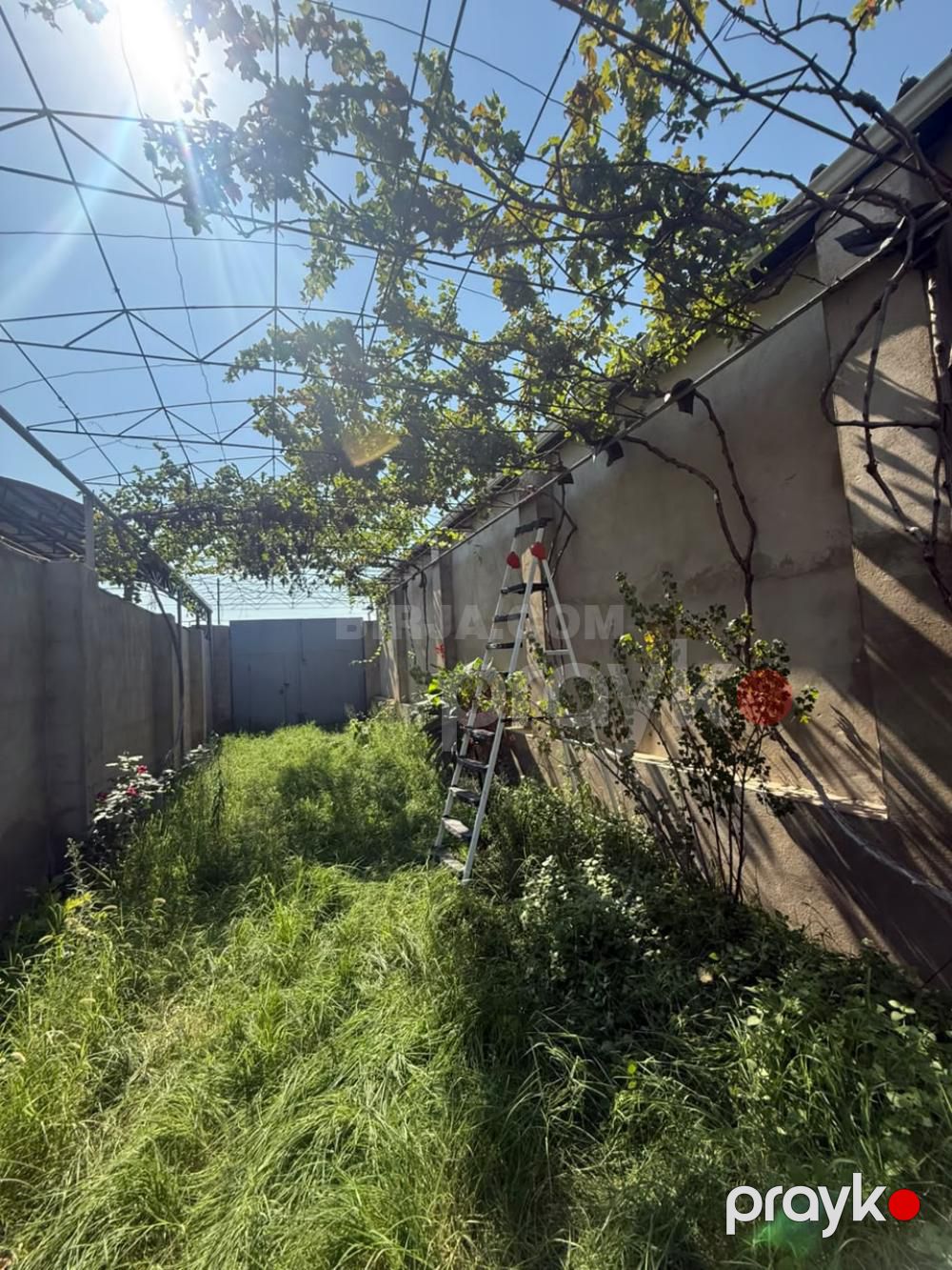 Savalanda 5 otaqlı ev satılır — Torpaq (9)