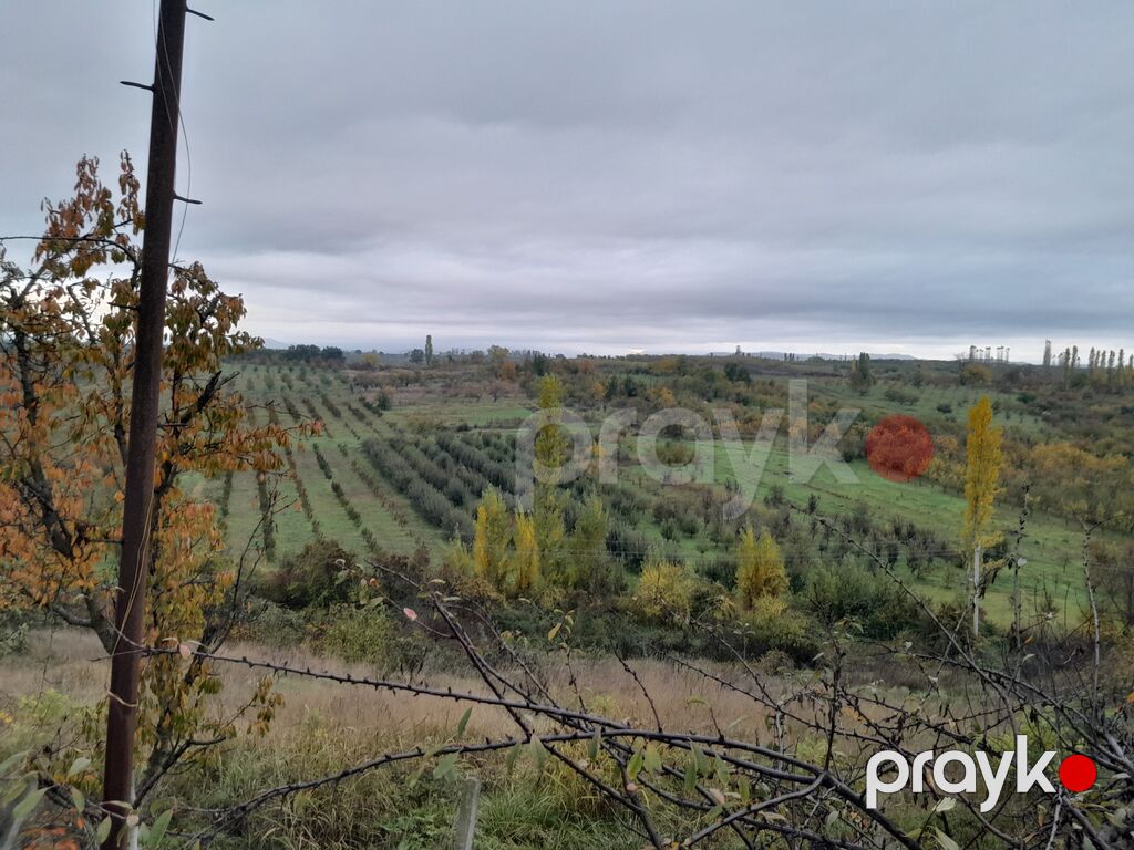 7 sot, Tikinti, Mülkiyyətçi, Kupça (Çıxarış) — Torpaq, Quba (4)