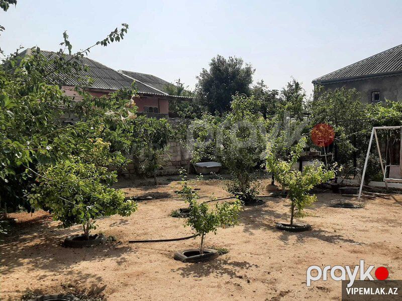 Suraxanı rayonunda 1 otaqlı Torpaq Satılır, 4 sot — Torpaq, Bakı (2)