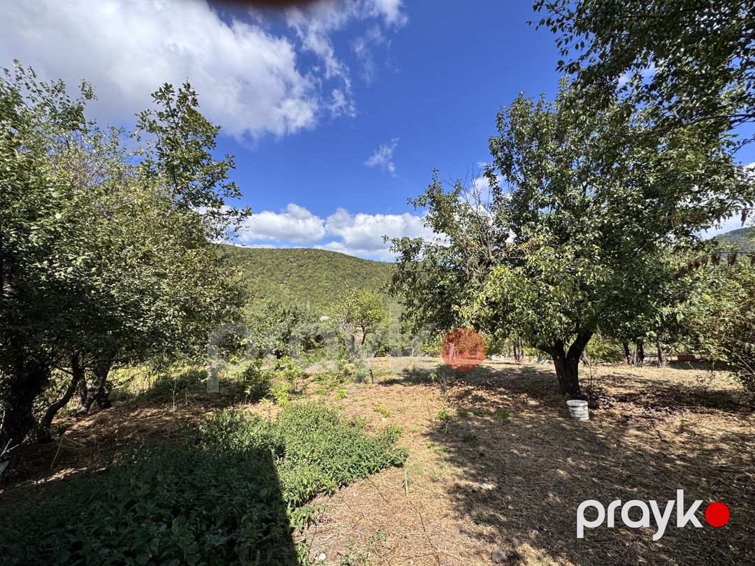 Satılır torpaq 27 sot — Torpaq, İsmayıllı (8)