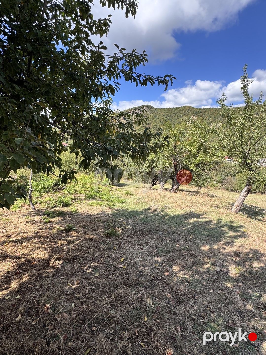 Satılır torpaq 27 sot — Torpaq, İsmayıllı (6)