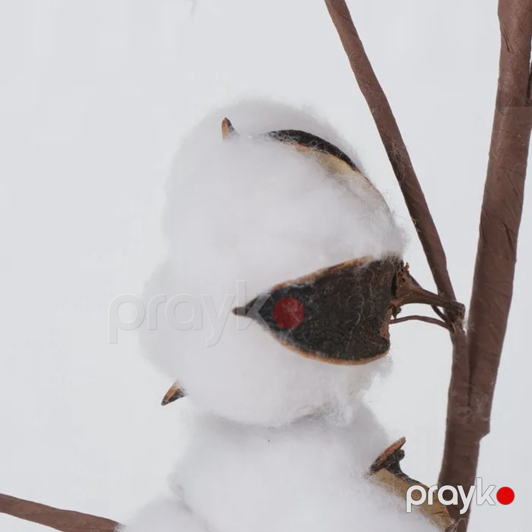 İnteryer üçün bəzək Boltze Cotton, 68 sm — Mallar, Bakı (3)