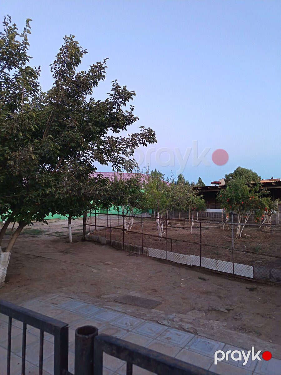 Həyət evi, Qala qəs — Ev, villa, Bakı (3)