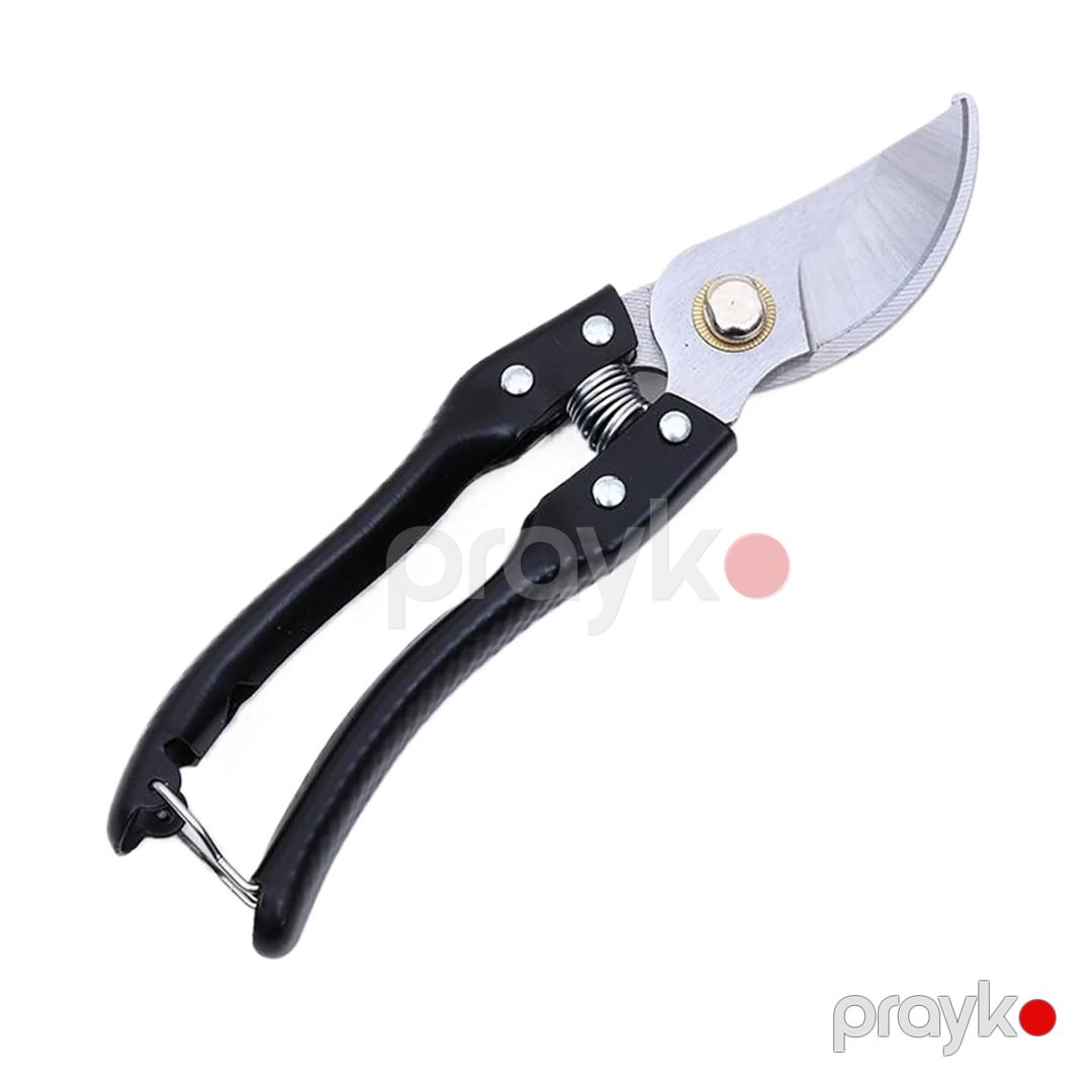 Bağ qayçısı SK-5, İL-4108 — Mallar, Bakı (2)