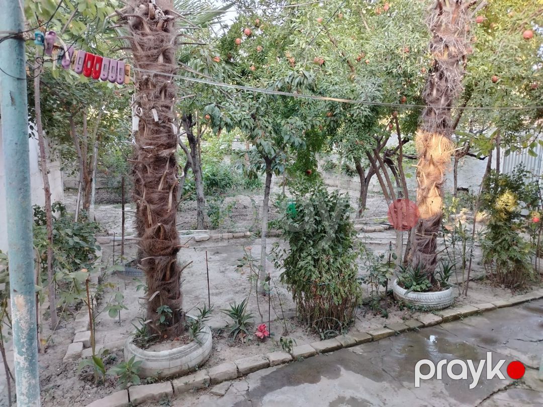 Həyət evi, Göyçay ş — Ev, villa, Bakı (10)