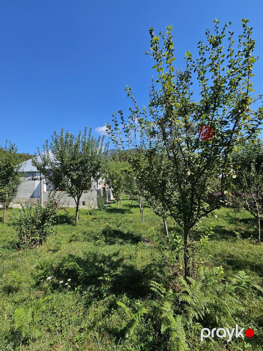 Həyət evi, İsmayıllı r — Ev, villa, İsmayıllı (8)