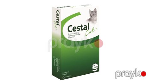 Qurd əleyhinə tabletlər Ceva Cestal Cat pişiklər üçün — Bakı