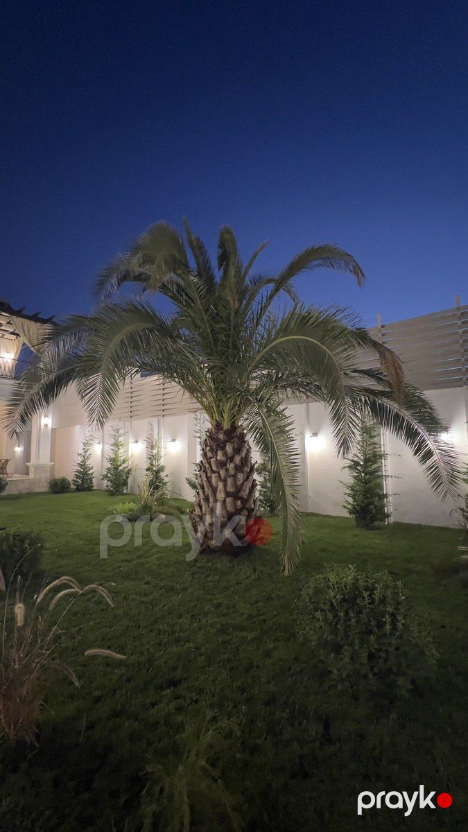 Satılır 6 otaqlı həyət evi/bağ evi 350 m² — Ev, villa, Bakı (7)