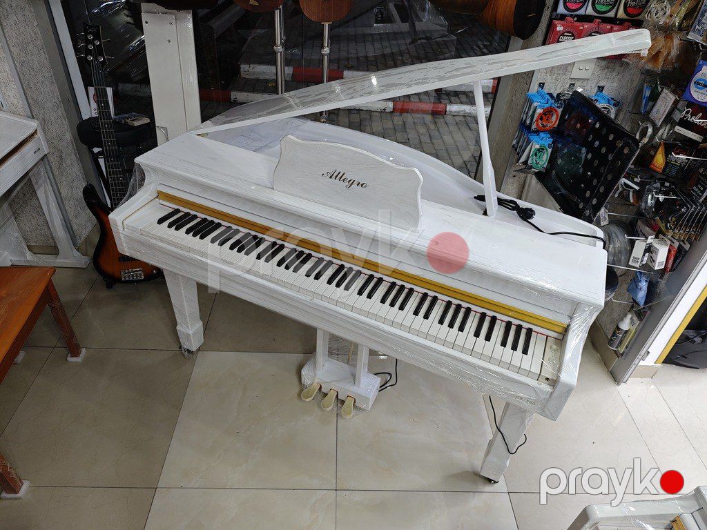 Elektro royal — Musiqiə alətləri, Bakı (11)