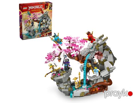 Konstruktor Lego Ninjago Dragon Stone Shrine 71819 — Bakı
