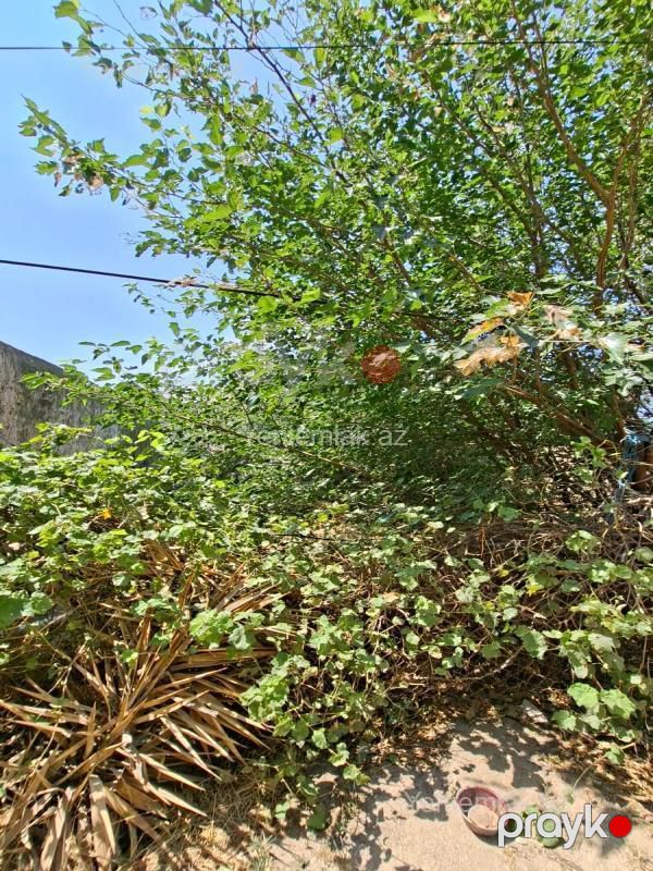Satılır Torpaq sahəsi, 8 sot, Corat köhnə — Torpaq, Sumqayıt (7)