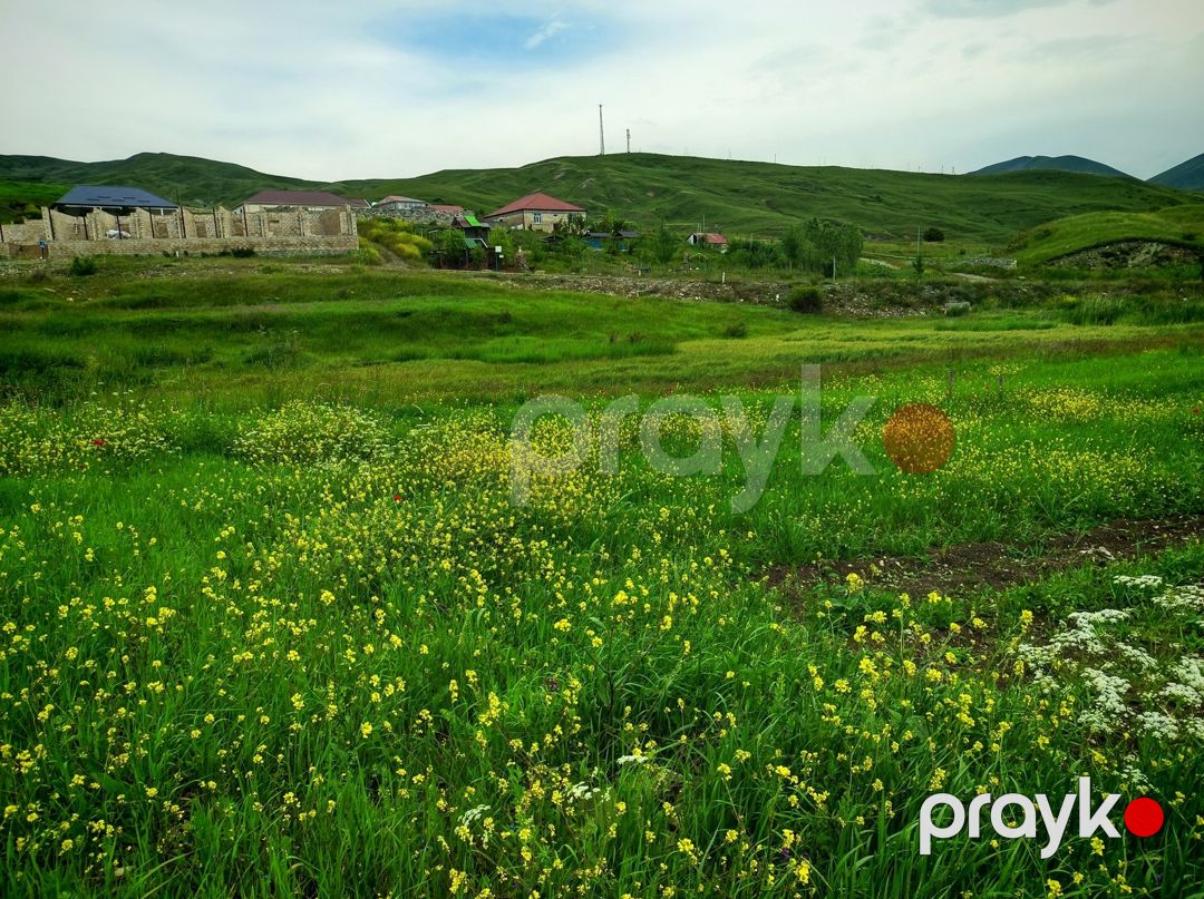 151 sot torpaq sahəsi, Şamaxı r — Torpaq, Şamaxı (6)