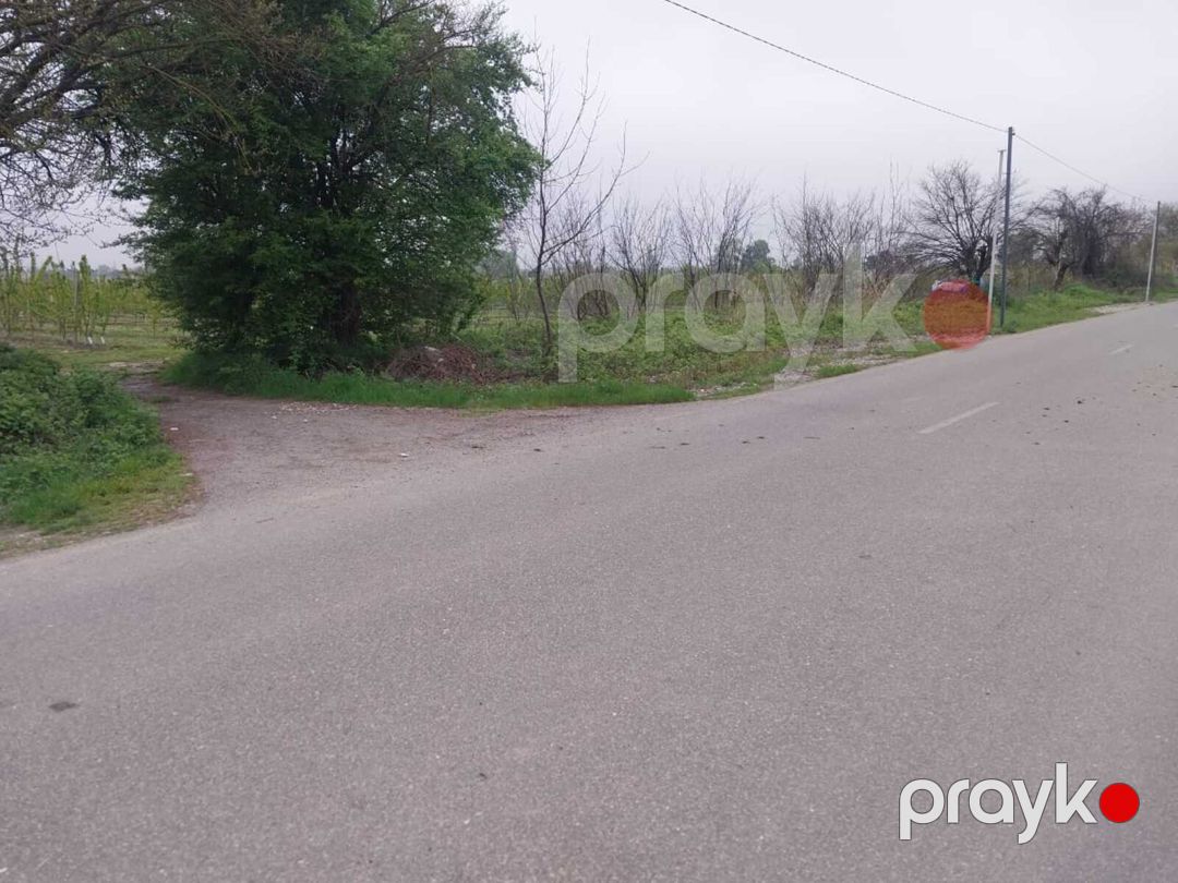 220 sot torpaq sahəsi, Xaçmaz r — Torpaq, Xaçmaz (9)