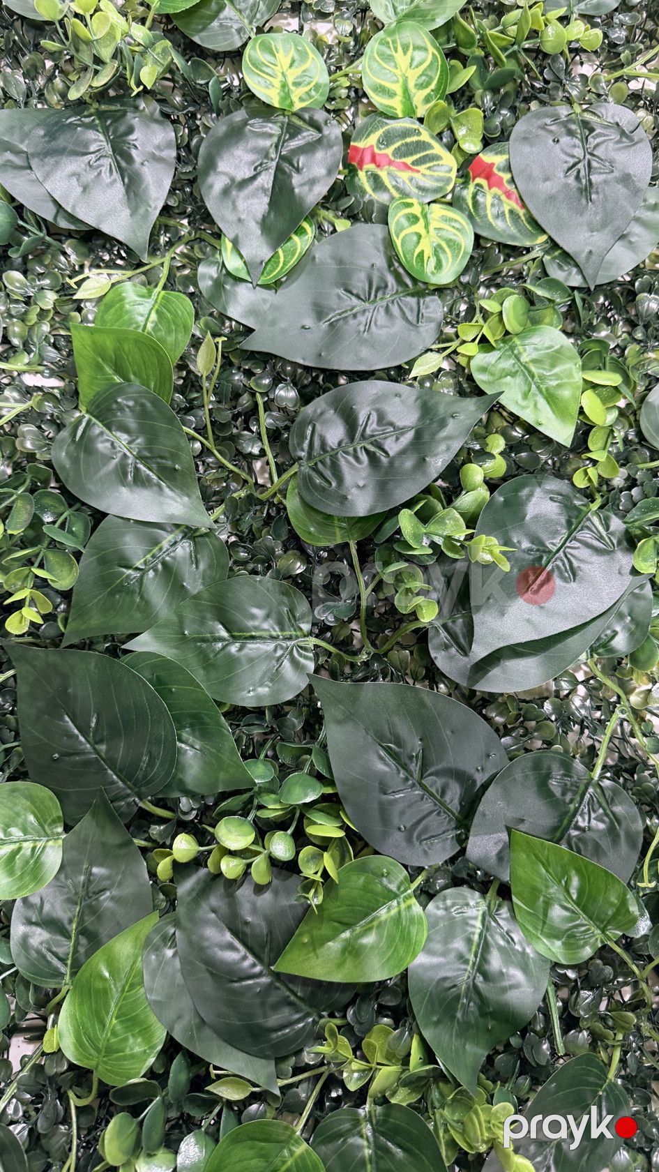 Süni yaşıllıq divar paneli 49720560, plastik, 40x60 sm — Mallar, Bakı (3)