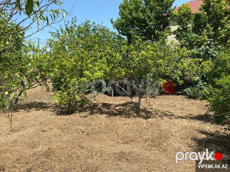 Abşeron rayonunda 1 otaqlı Torpaq Satılır, 12 sot — Torpaq, Bakı (2)