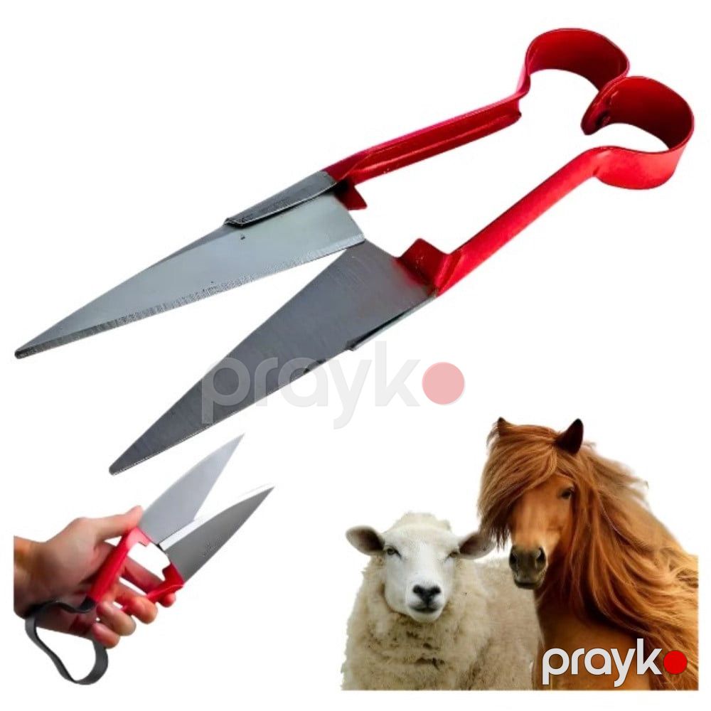 Qoyun qırxan qayçı, qırmızı tutacaq ilə prm_019 — Mallar, Bakı (3)