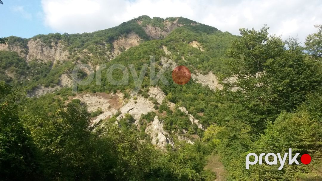 Həyət evi kirayə verilir, İsmayıllı r — Ev, villa, İsmayıllı (9)