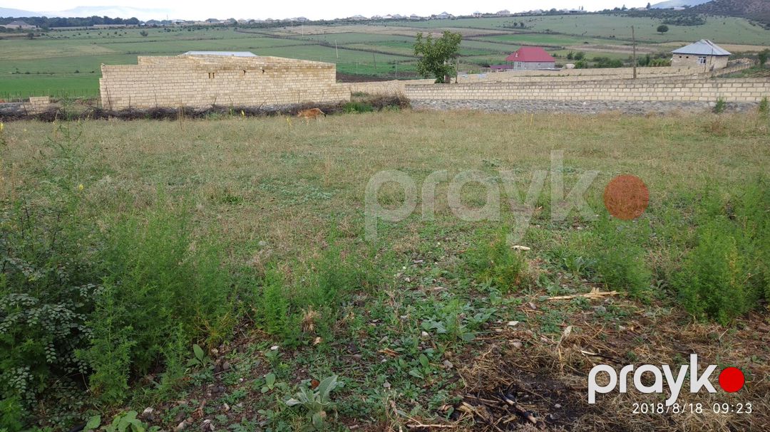 Satılır torpaq 12 sot — Torpaq, Şəki (3)