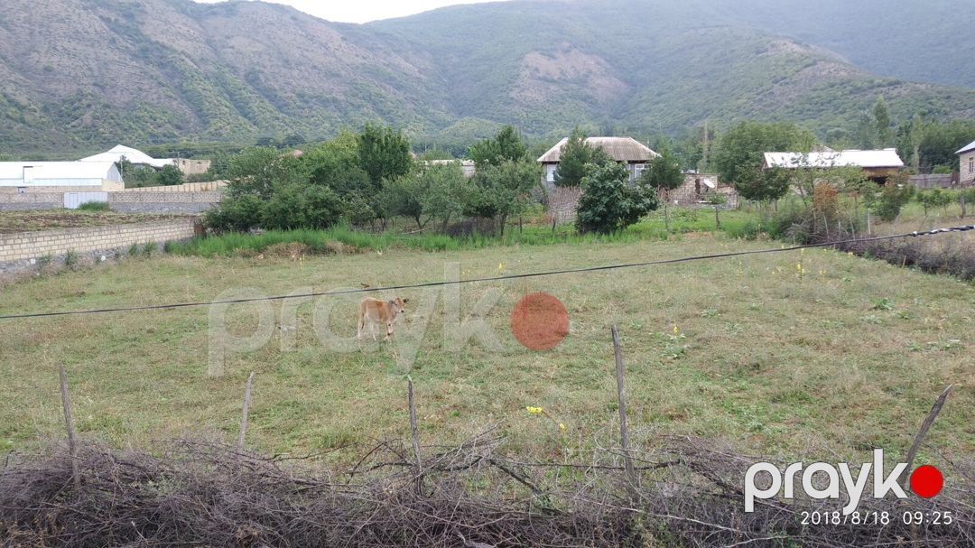 Satılır torpaq 12 sot — Torpaq, Şəki (2)