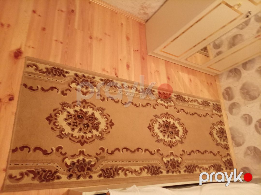 Xalça — Xalılar və xalı yolları, Bakı (2)