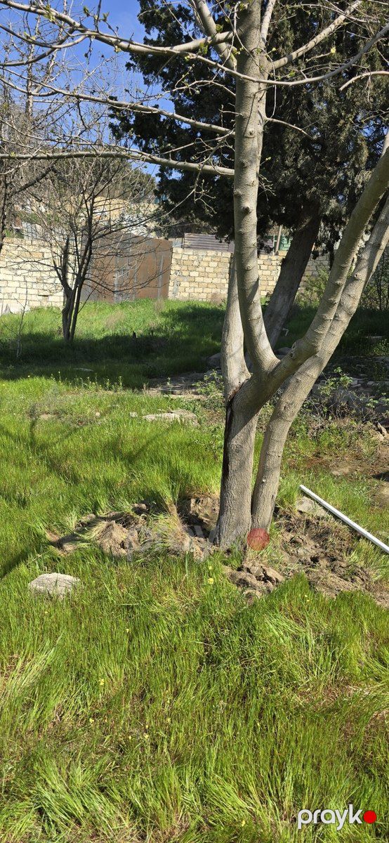 9 sot torpaq sahəsi, Avtovağzal m — Torpaq, Bakı (5)