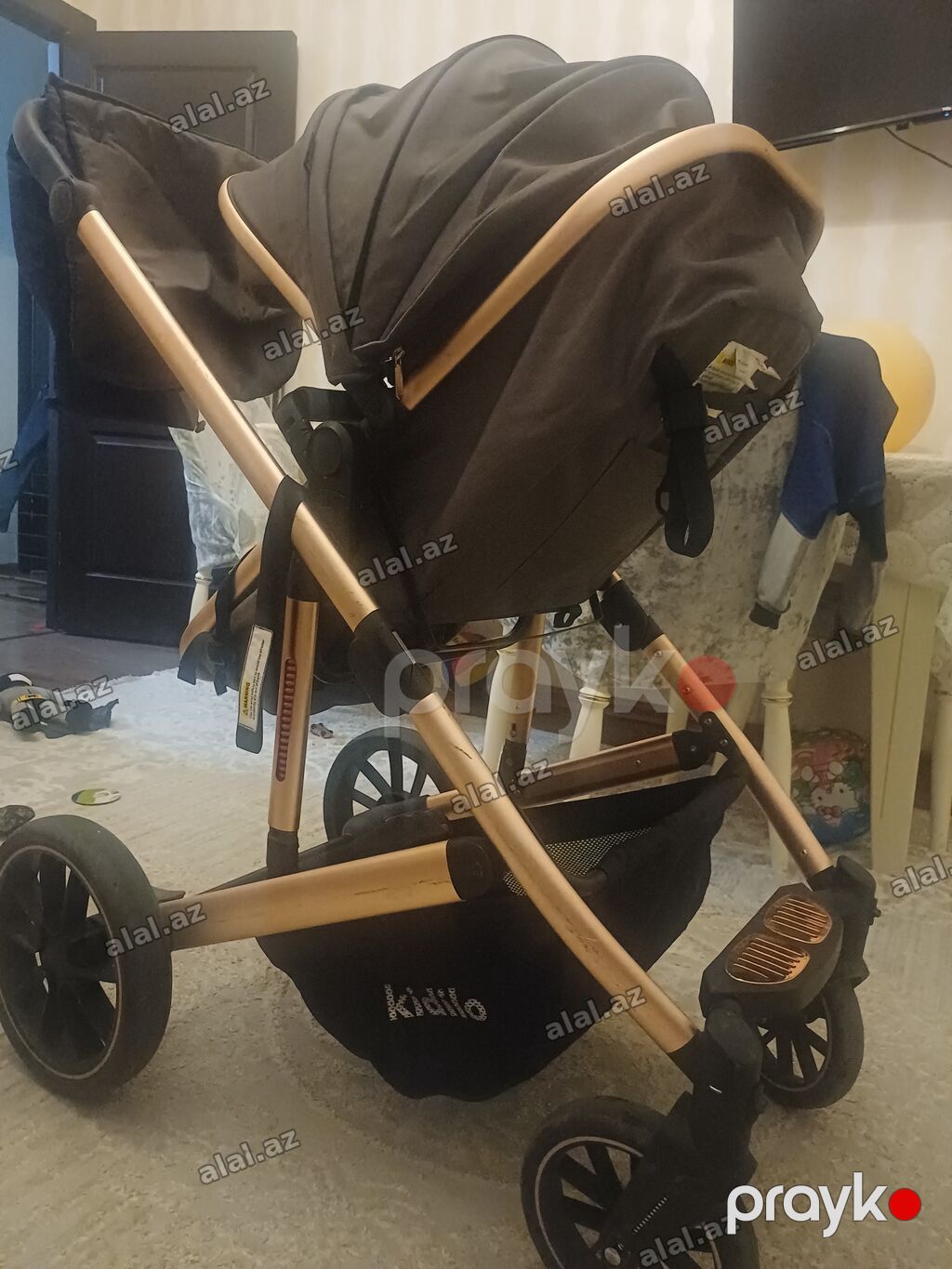 Kidilo, İşlənmiş, Yaş: 1 ay — Mallar, Bakı (4)