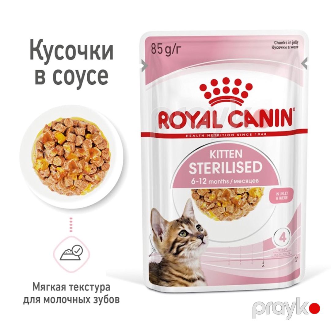 Nəm yem qısırlaşdırılmış pişik balaları üçün Royal Canin Kitten Sterilised, 85 q — Mallar, Bakı (3)