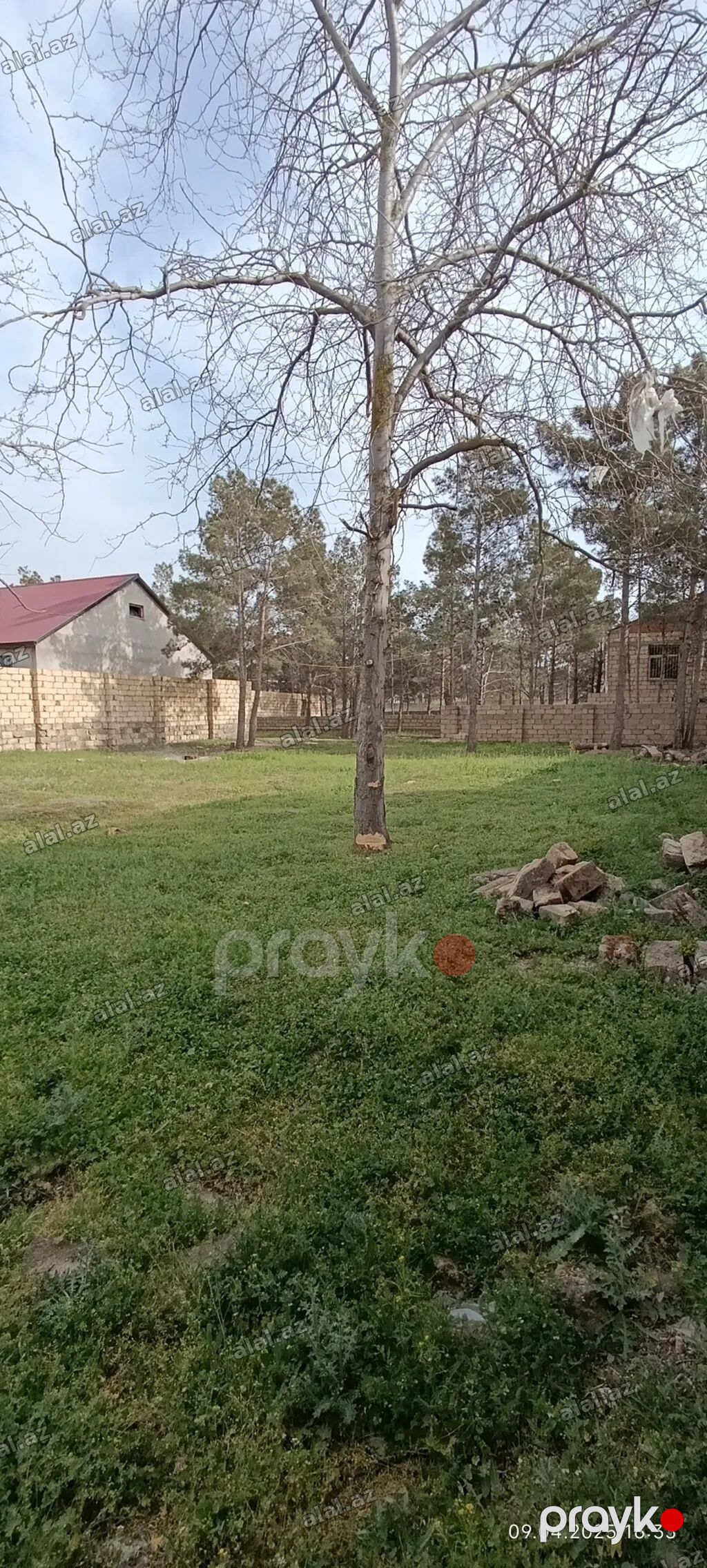 6 sot, Tikinti, Mülkiyyətçi, Kupça (Çıxarış) — Torpaq, Bakı (3)