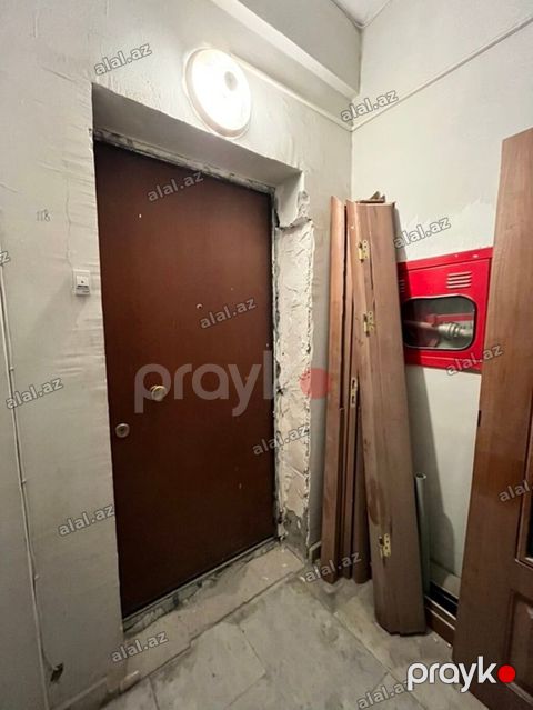 3-na Taxta iç qapılar dəsti - Material: ağac əsaslı, qəhvəyi rəngdə — Bakı