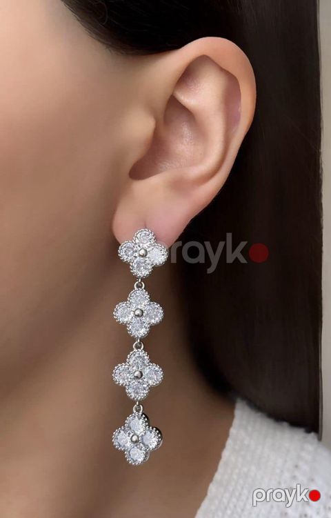 Sırğa qadınlar üçün Arcanum ARC5623, polad, gümüşü — Bakı
