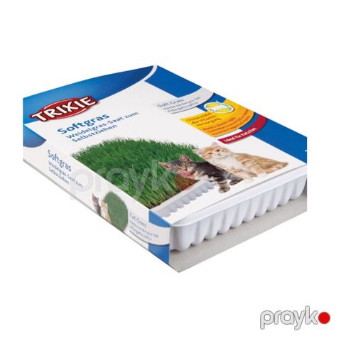 Pişiklər üçün ot Trixie 4232 — Bakı