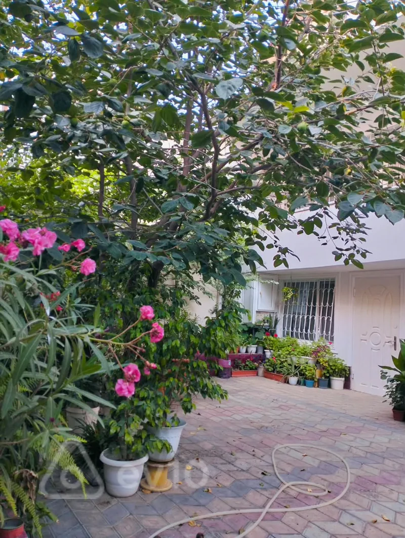 7 otaqlı həyət evi, 420 m², Dadas Bunyadzadə — Ev, villa, Bakı (10)