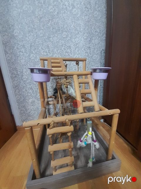 Qəfəs — Bakı