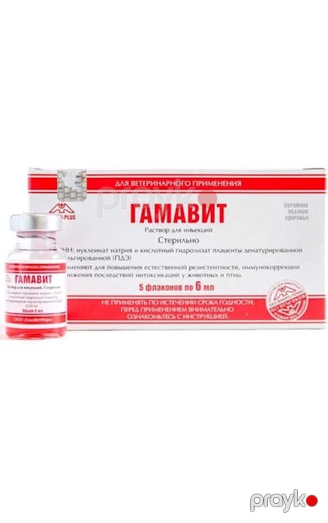 Gamavit — Bakı