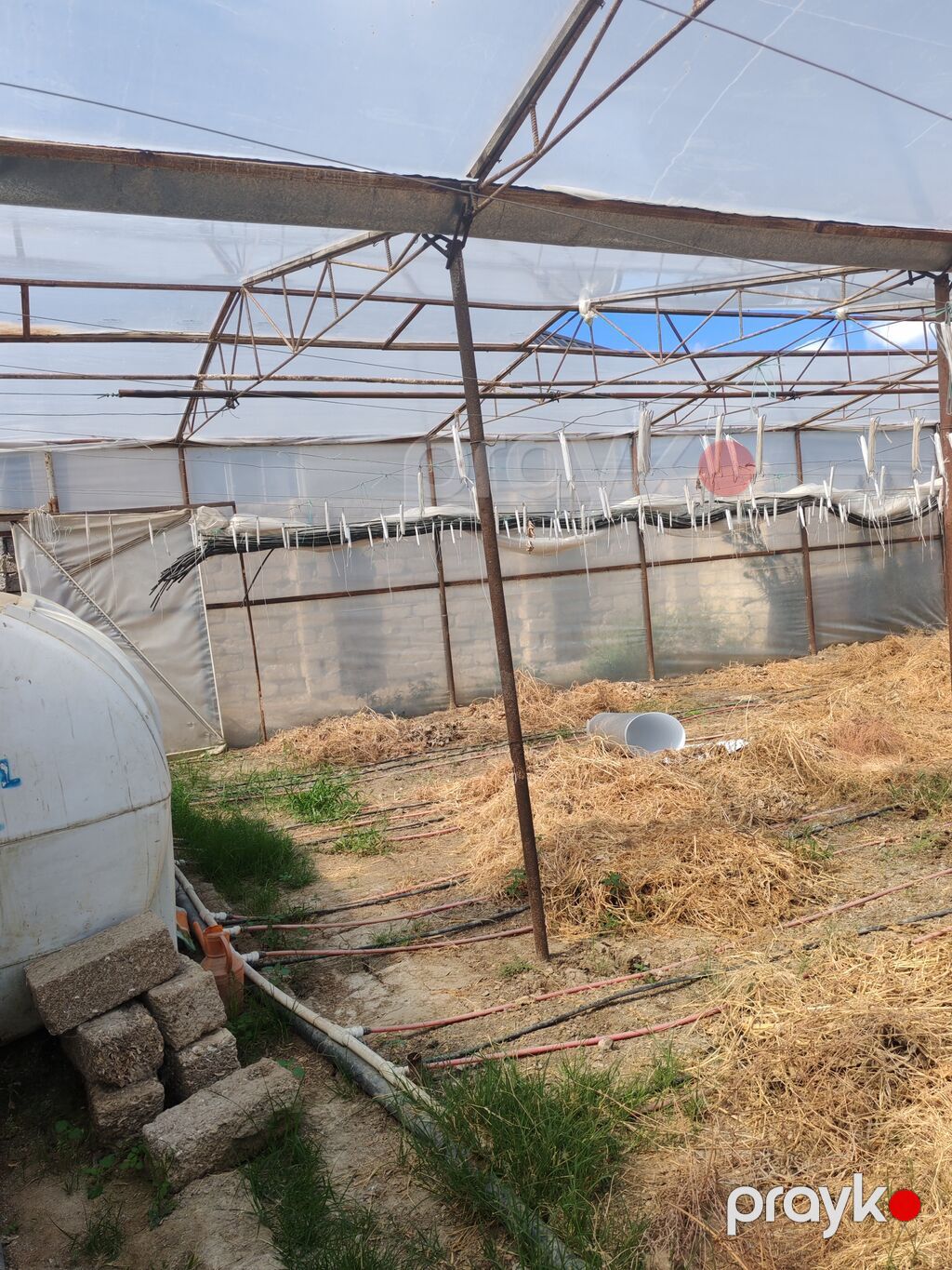 17 sotluq parnik ləvazimatları satılır – tam komplekt Tərkib — Digər, Bakı (6)