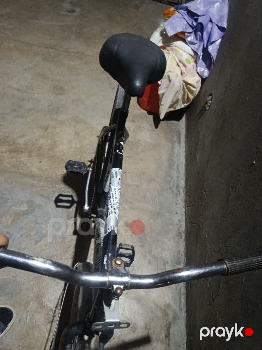 Velosiped — Velosipedlər, Gəncə (4)