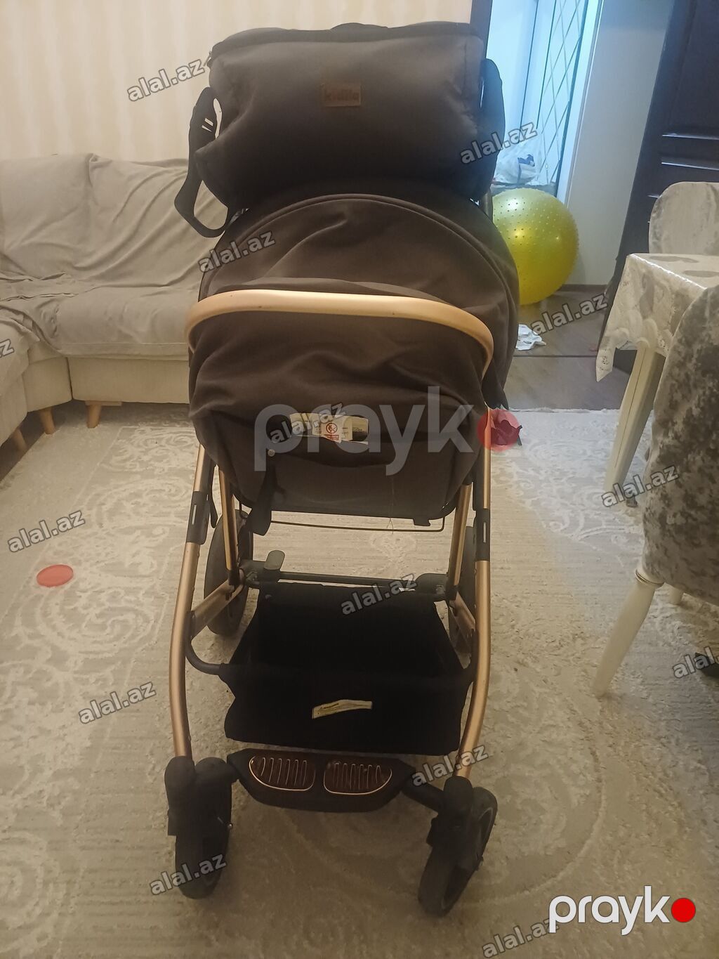 Kidilo, İşlənmiş, Yaş: 1 ay — Mallar, Bakı (3)
